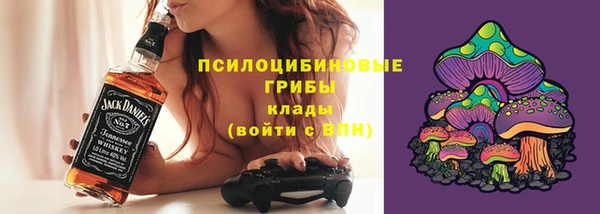 хмурый Верея