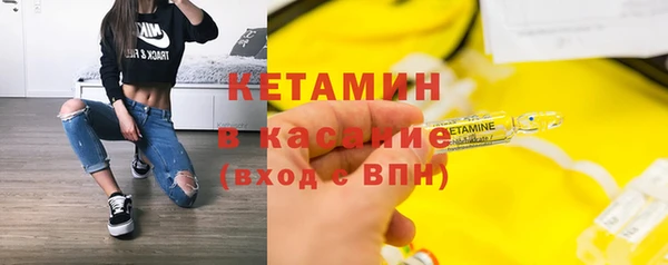 хмурый Верея