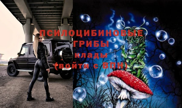 хмурый Верея