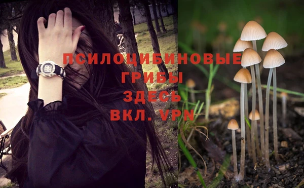 гидропоника Верхнеуральск