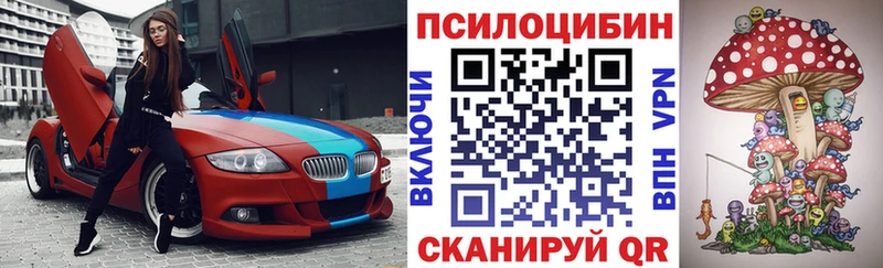 сколько стоит  Черкесск  сайты даркнета какой сайт  Псилоцибиновые грибы прущие грибы 